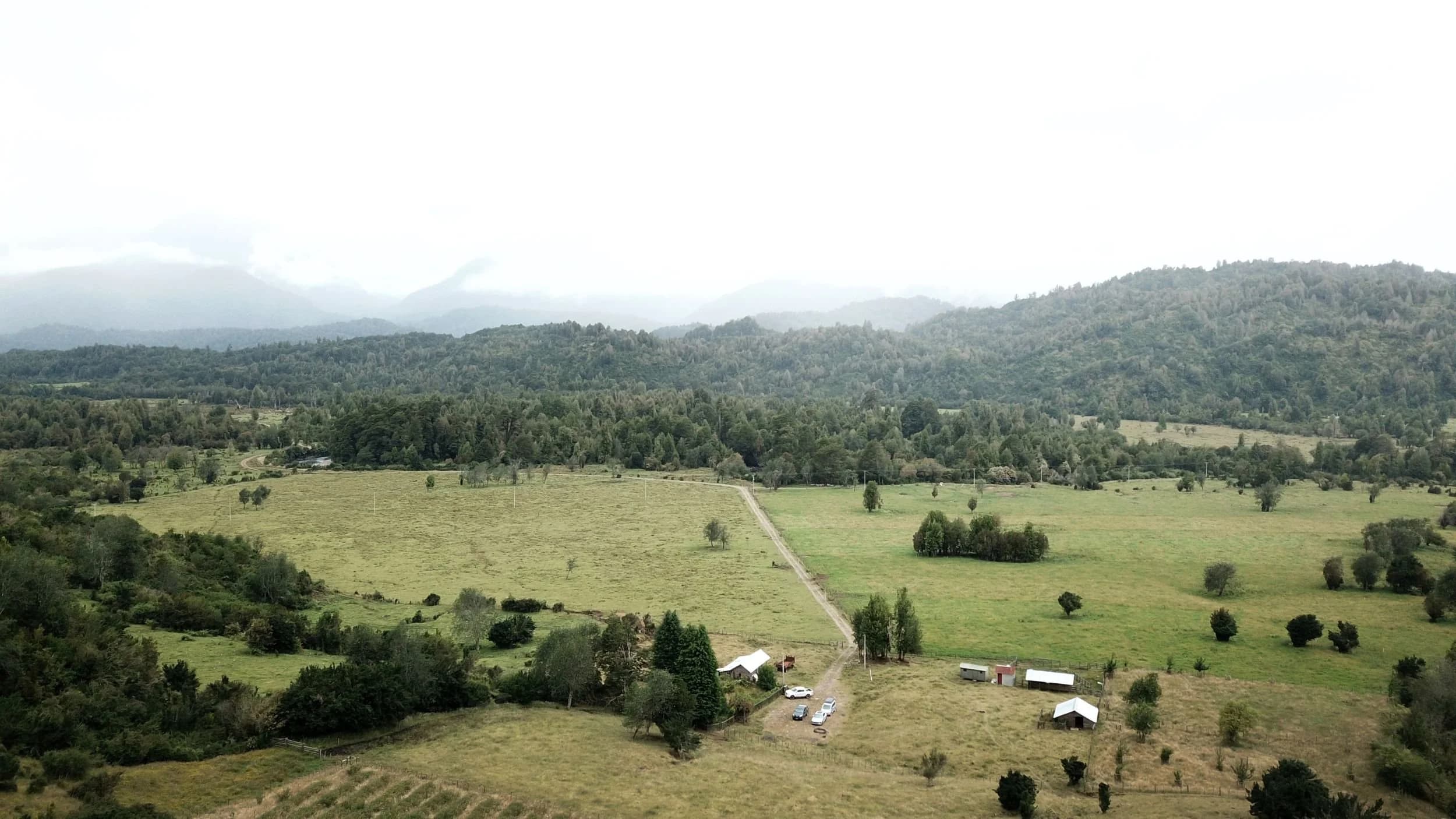 Fundo Río Risopatrón
