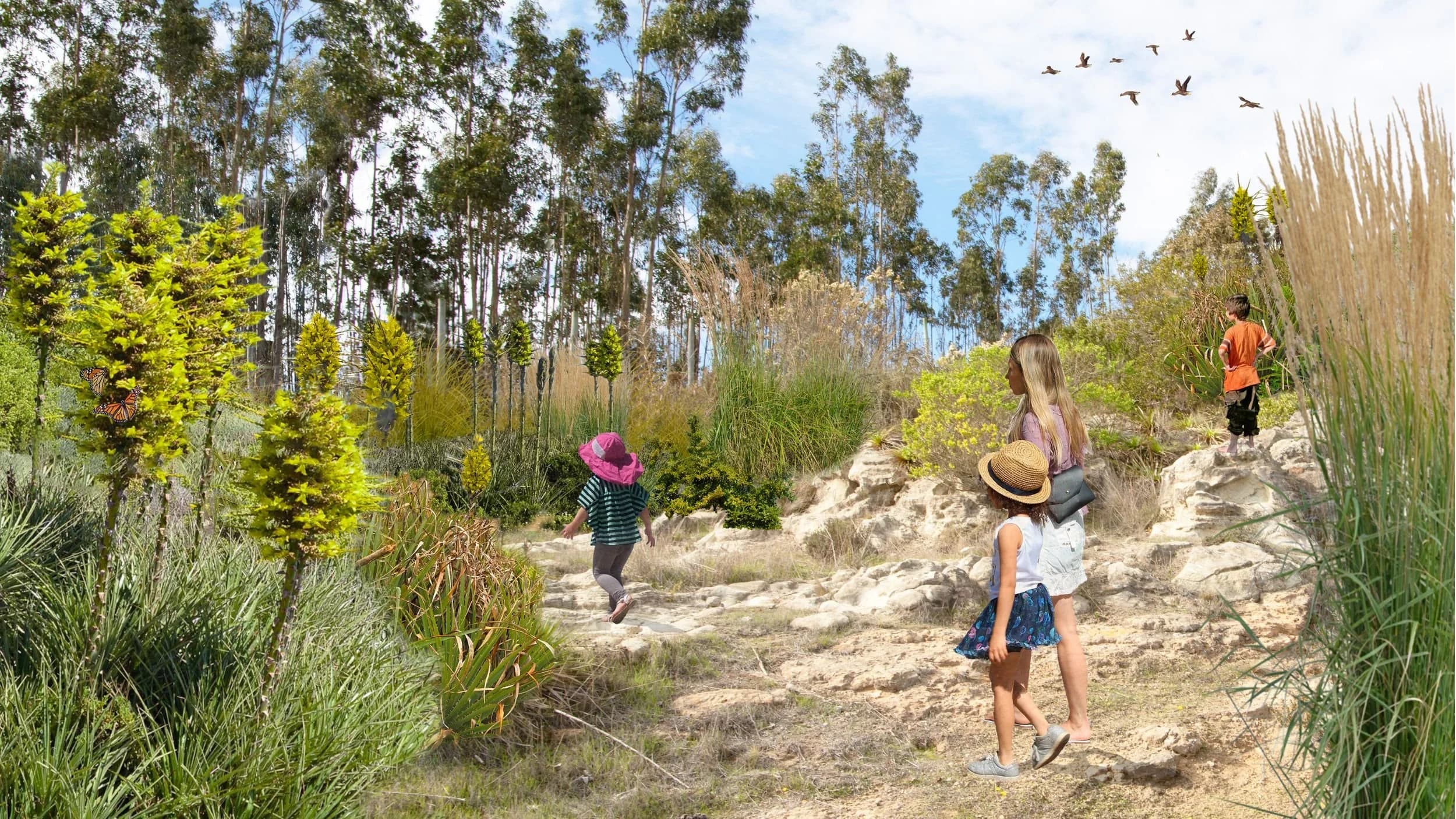 Quebradas de Pupuya — 12